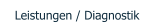 Leistungen / Diagnostik
